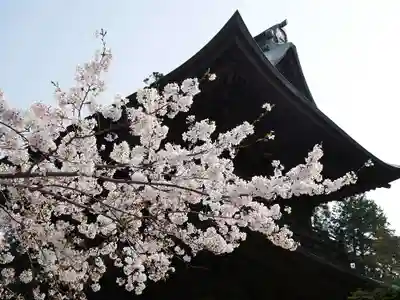 円覚寺の本殿・本堂