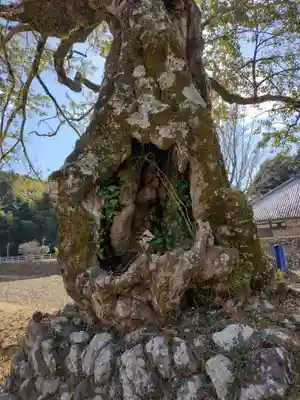 長徳寺(三重県)