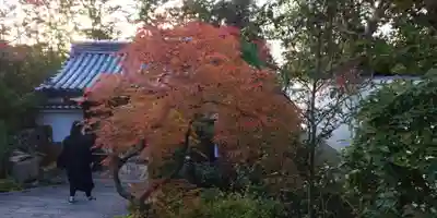 霊源院(京都府)
