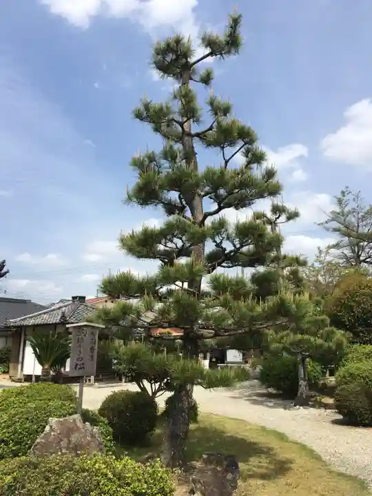 護国寺のその他建物