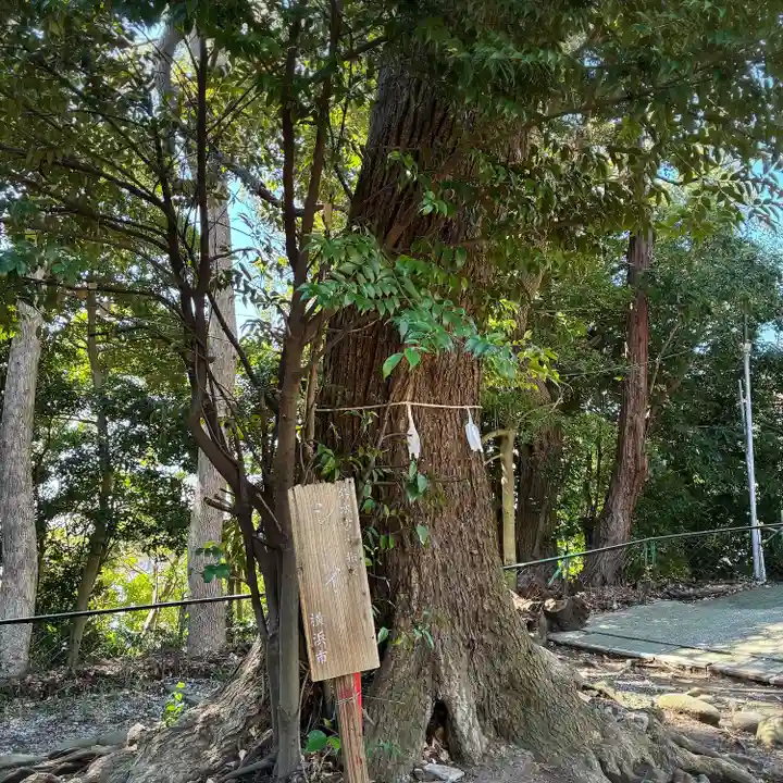 別所白山神社(神奈川県)