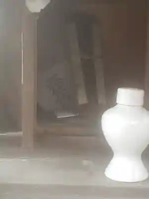 田島稲荷神社(栃木県)