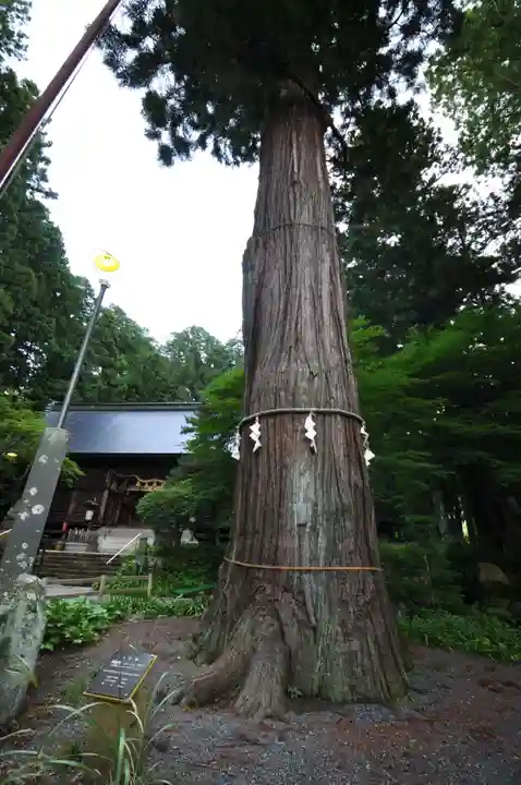 河口浅間神社(山梨県)