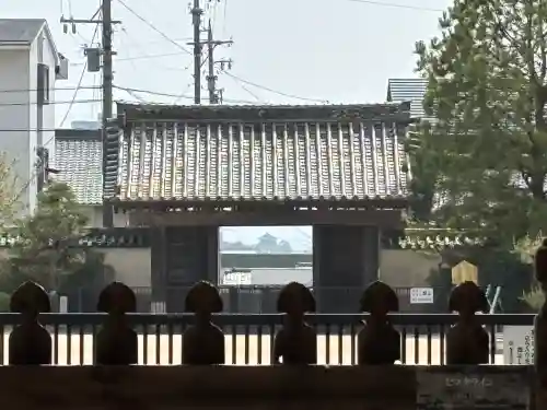 大樹寺（松安院大樹寺）(愛知県)