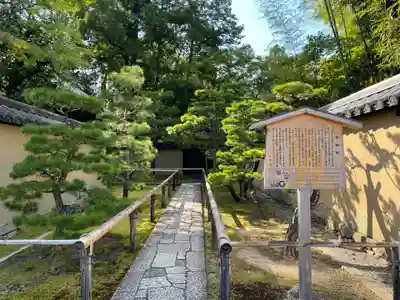 高桐院(京都府)
