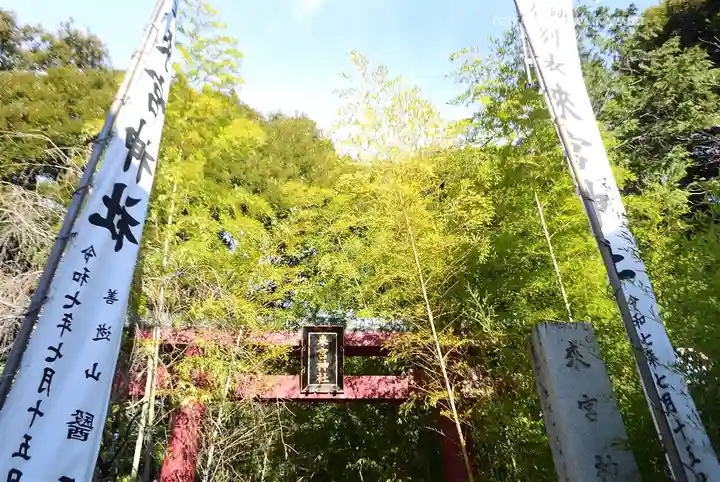 來宮神社(静岡県)