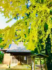 岡見八坂神社(茨城県)