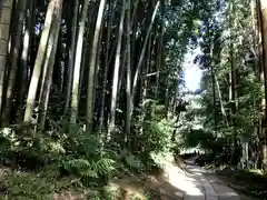 武雄神社の自然