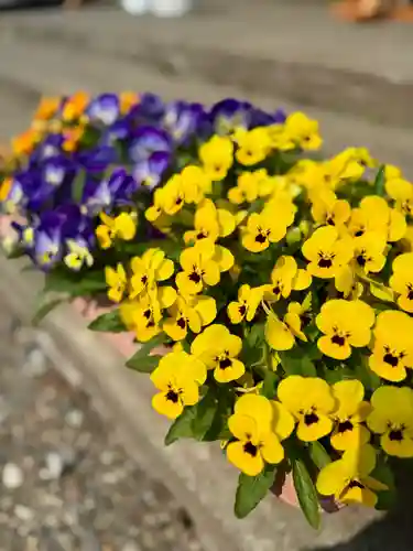 伊達神社(北海道)