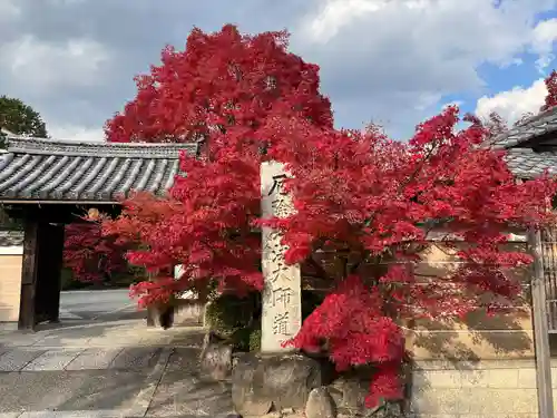 神光院(京都府)