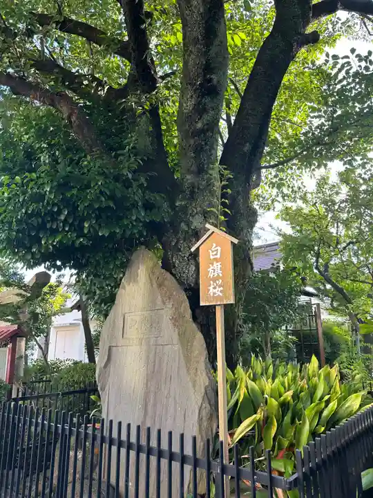 白山神社(東京都)