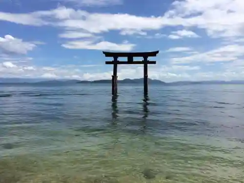 白鬚神社の鳥居