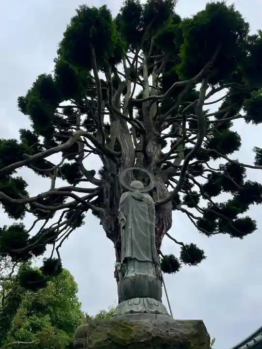 眞浄院(神奈川県)