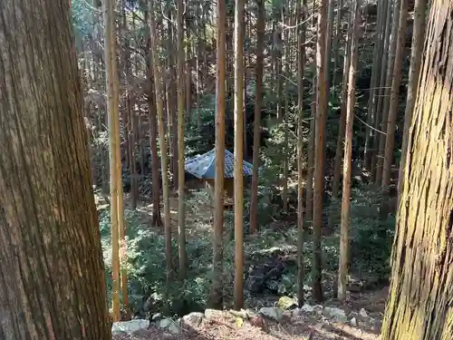 泰仙寺(徳島県)