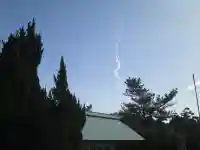 屋久島大社の体験その他