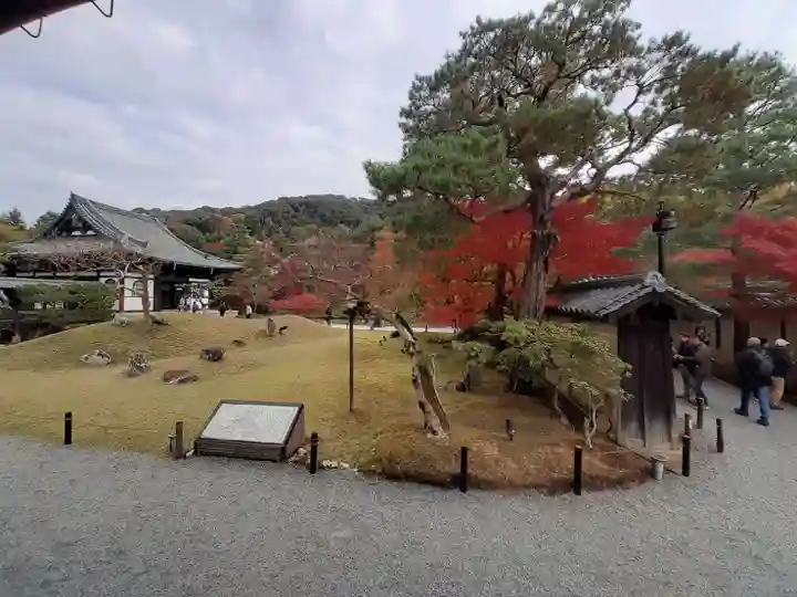高台寺(高台寿聖禅寺・高臺寺)(京都府)