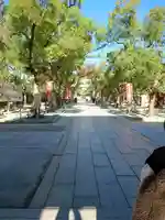 湊川神社(兵庫県)
