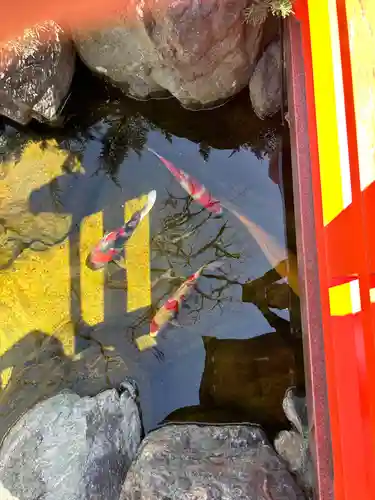 蛇窪神社の動物