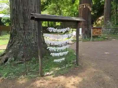 日枝神社のおみくじ