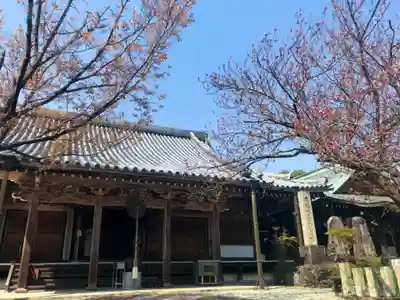 櫻本坊の本殿・本堂