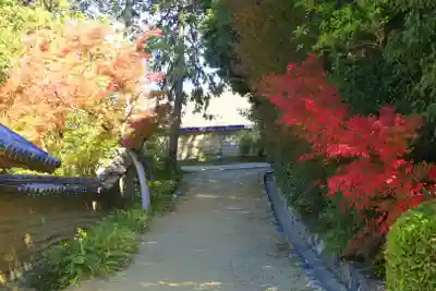 唐招提寺(奈良県)