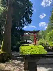 北口本宮冨士浅間神社の建物その他