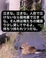 専念寺(大阪府)