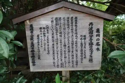 国分寺の歴史