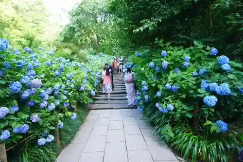 明月院のその他建物