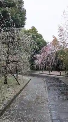 城南宮(京都府)
