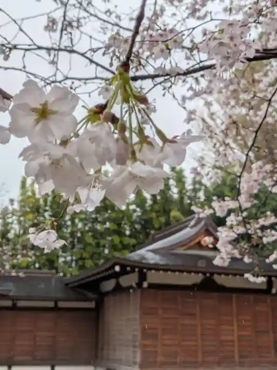 阿佐ヶ谷神明宮(東京都)