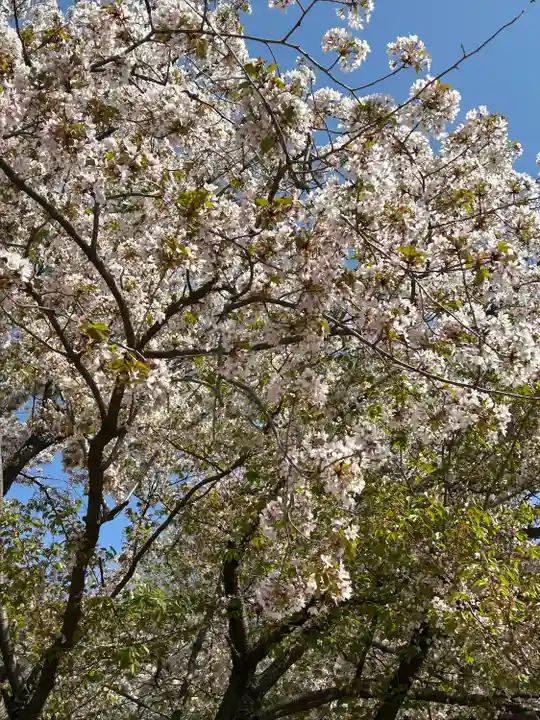 武蔵一宮氷川神社(埼玉県)