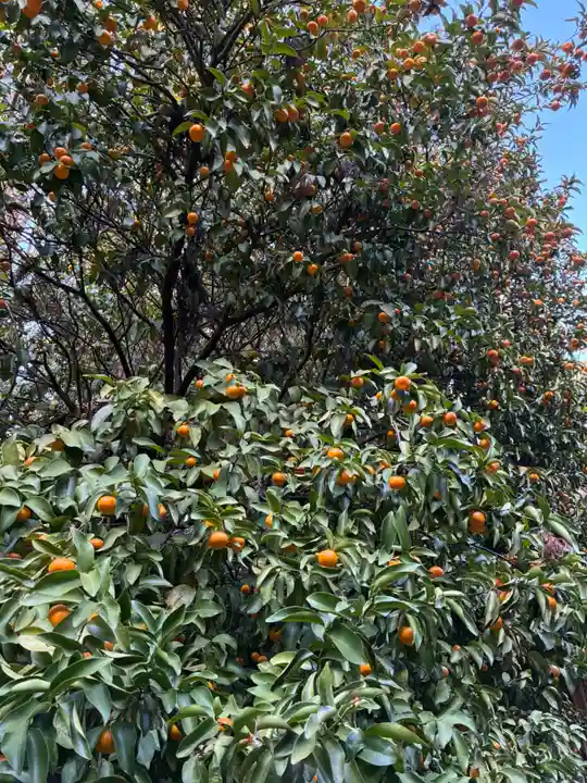 香取神宮奥宮(千葉県)