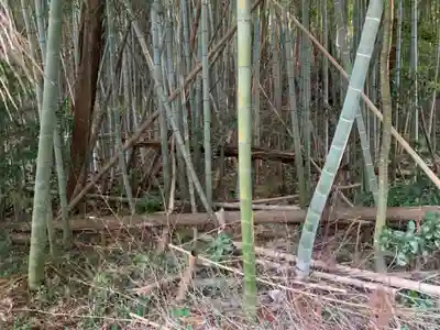 熊野神社(千葉県)