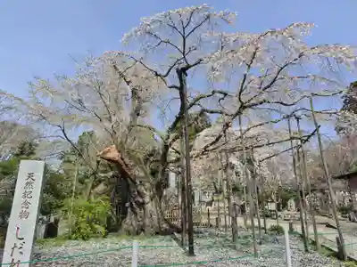 光琳寺(栃木県)