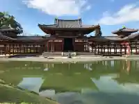 平等院の{uncategorized: "未分類", other: "その他", undefined: "問題あり", building: "その他建物", grave: "お墓", sacred_gate: "鳥居", guardian: "狛犬", statue: "像", buddha: "仏像", history: "歴史", nature: "自然", garden: "庭園", animal: "動物", pagoda: "塔", temizu: "手水舎", mountain_gate: "山門・神門", sanctuary: "本殿・本堂", subordinate: "末社・摂社", art: "芸術", scenery: "景色", jizo: "地蔵", ema: "絵馬", goshuin: "御朱印", omikuji: "おみくじ", items: "授与品その他", amulet: "お守り", goshuincho: "御朱印帳", eats: "食事", festival: "お祭り", votive_dance: "神楽", shichigosan: "七五三参", wedding: "結婚式", experience: "体験その他", initially: "初詣", around: "周辺", anti_infection: "感染症対策"}