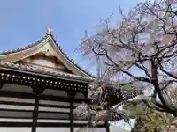 安詳寺(東京都)