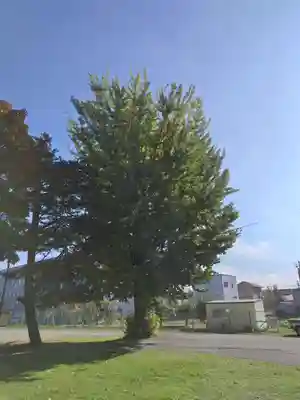 厚別神社(北海道)