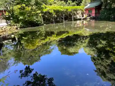 富士山本宮浅間大社(静岡県)