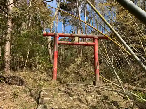 市井神社の鳥居