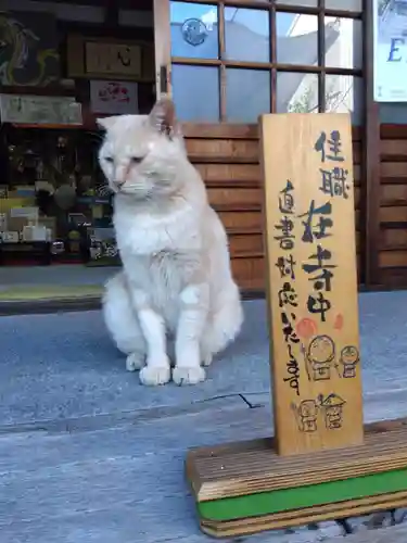 宗龍寺(愛知県)