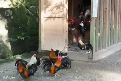 石上神宮(奈良県)