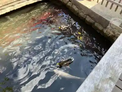 善知鳥神社(青森県)