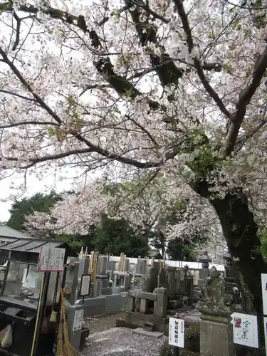真光寺(千葉県)