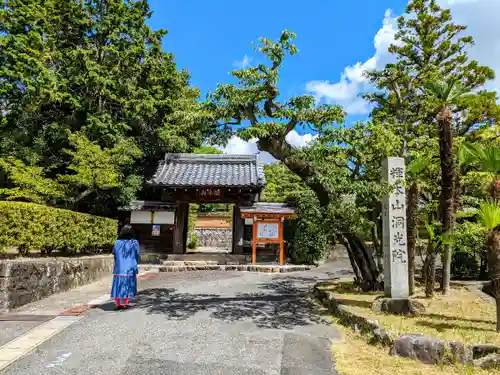 洞光院の山門