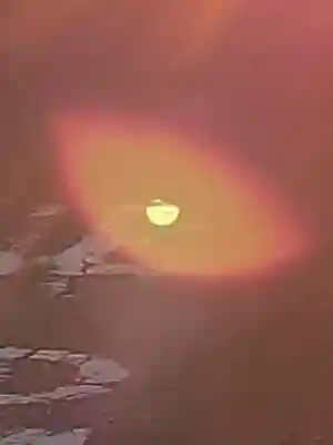 矢切神社の周辺