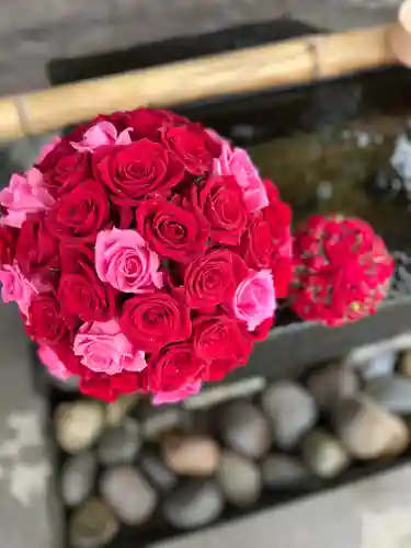 上尾御嶽神社の手水舎