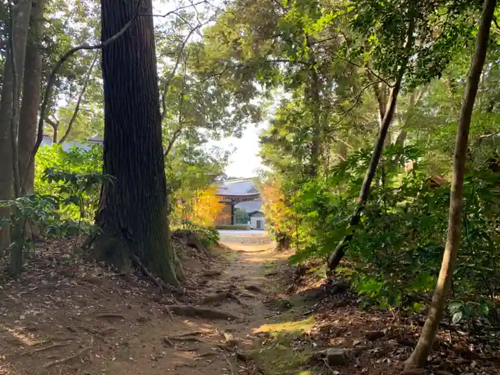 鹿島神宮の自然