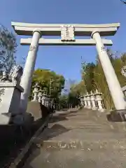 池戸八幡神社の鳥居