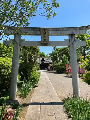尾曳稲荷神社の鳥居